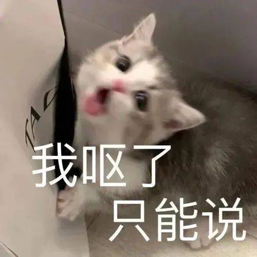 我呕了 只能说