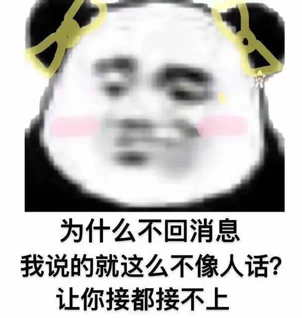 何止不错 ，简直绝了！表情包