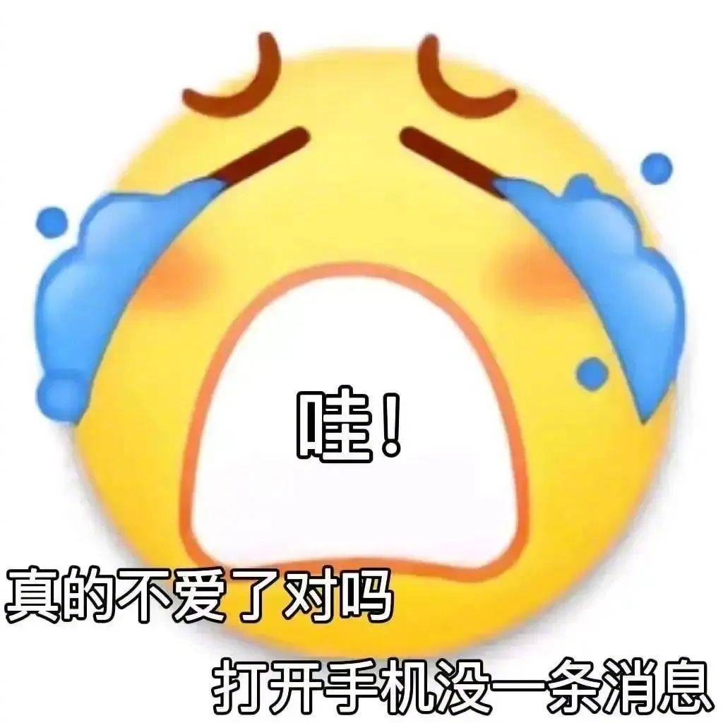 我脑袋里装的都是你表情包