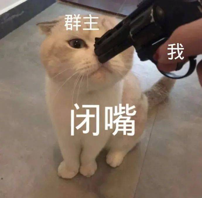 我可爱也有错吗