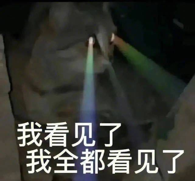 你给我老实点表情包