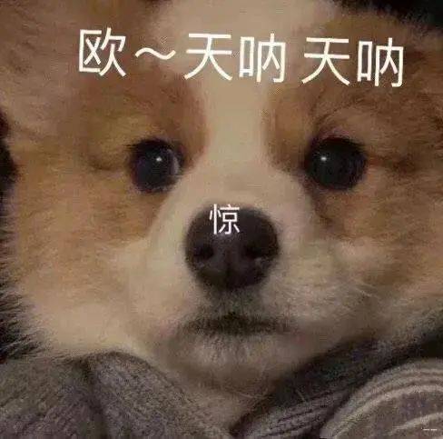 我还有机会吗