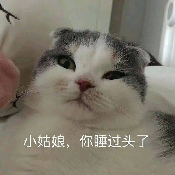 你还有理了是吗