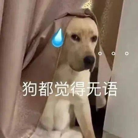 狗都觉得无语表情包