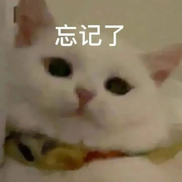 我就是只小猫咪 我能说什么