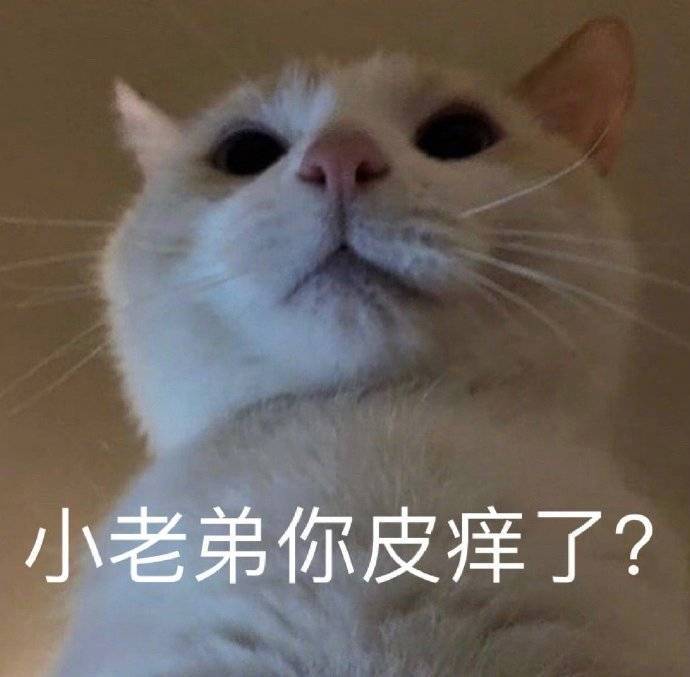 小老弟你皮痒了？表情包