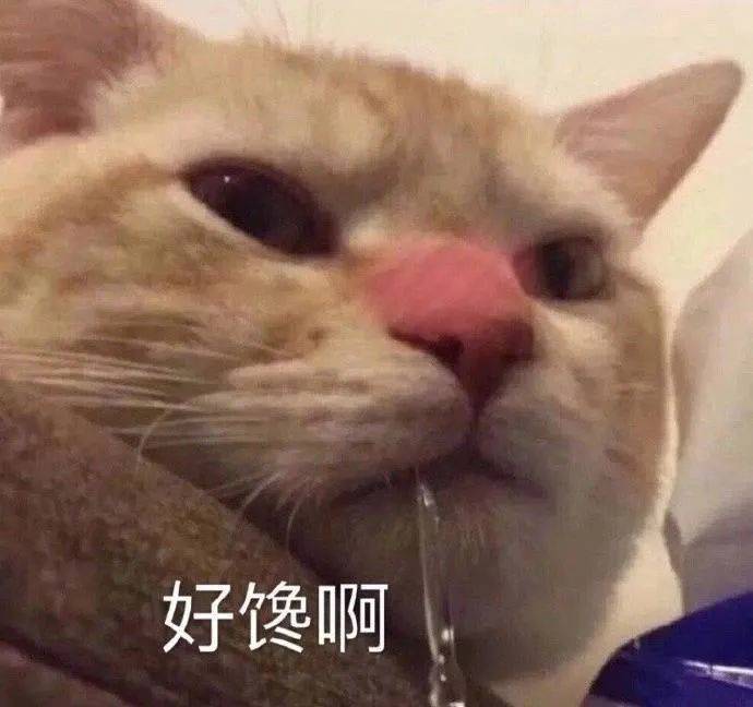 给你个爱我的机会