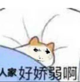 这里有问题表情包