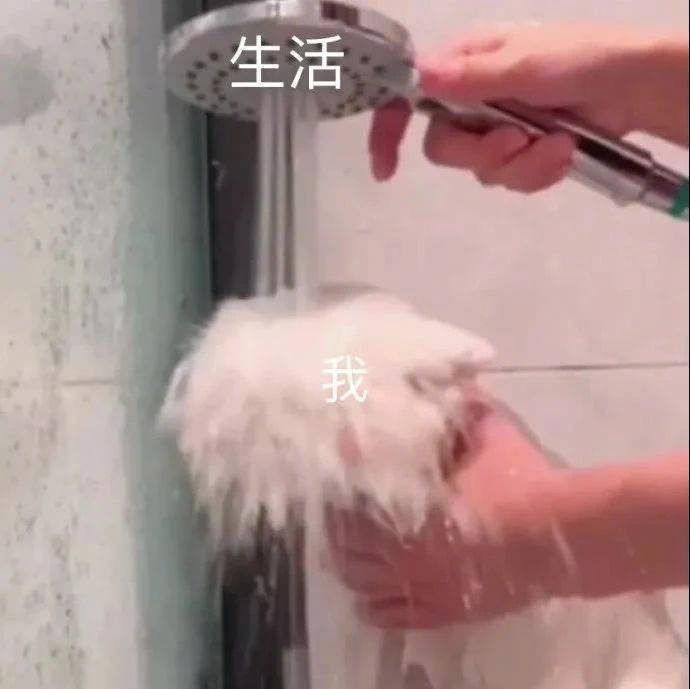 又是平淡无奇的一天