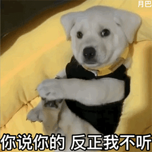 啊？我不理解