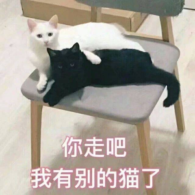 你手机拿反了