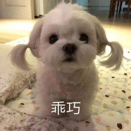 你好可爱鸭表情包