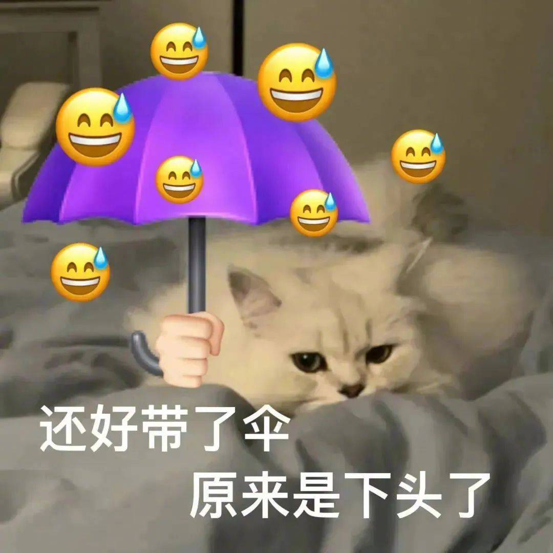 去给你买点脑子