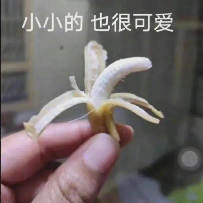 小天鹅我来了表情包