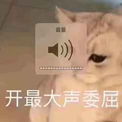 开最大声委屈