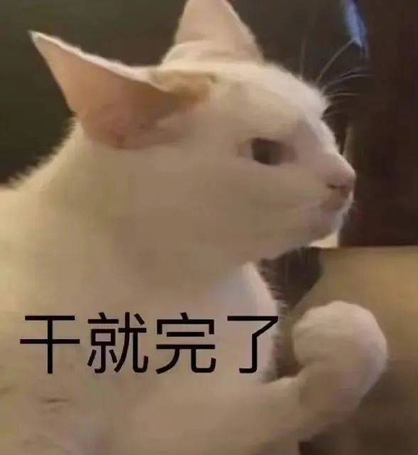 不行  你…那你干嘛？！