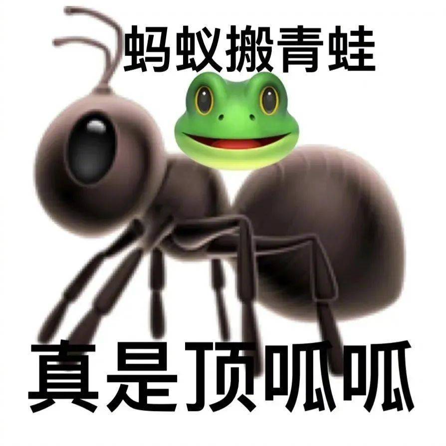 你也不是什么好鸟