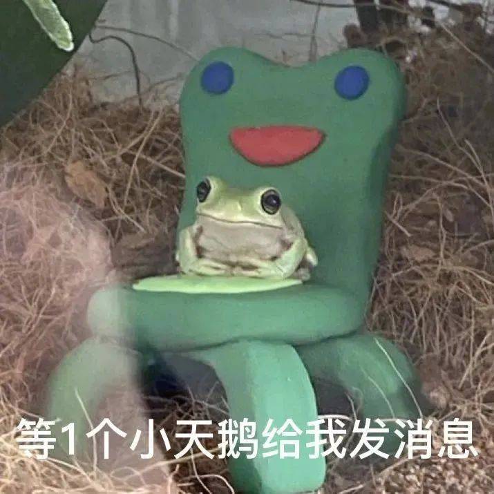 脚臭的不是我表情包