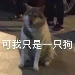 桃花你快来表情包