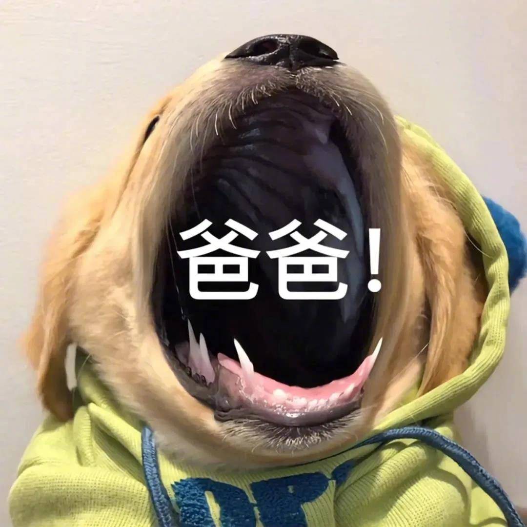 今天我就把话放这里了表情包