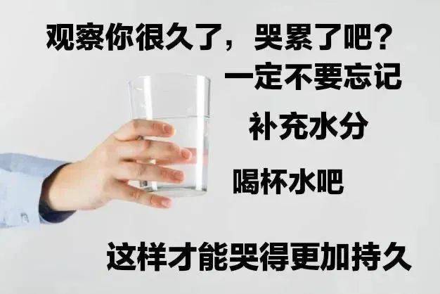 我和小猫咪都笑了表情包