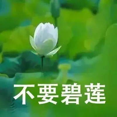 是我不配 先睡咯