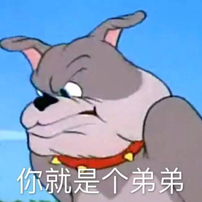 你就是个弟弟表情包