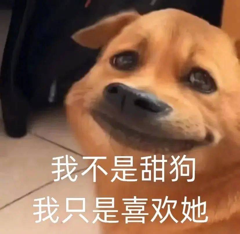 你好像个傻子