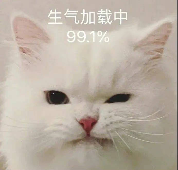 你能拿我肿么亚