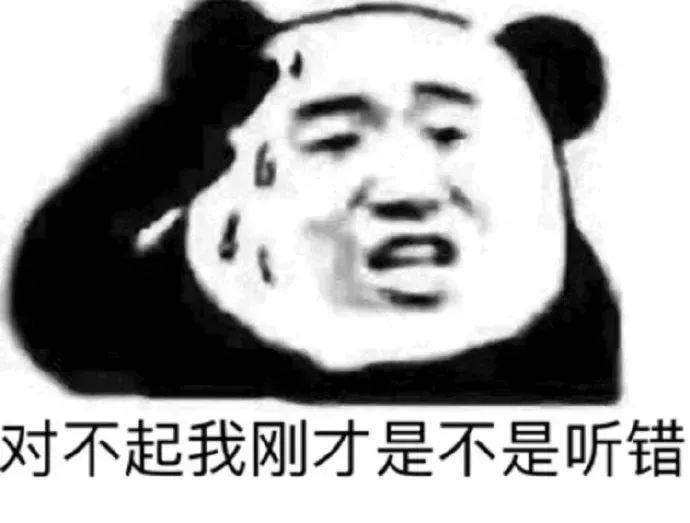 对不起 我刚才是不是听错表情包