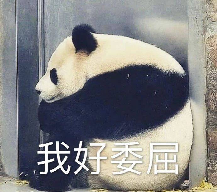 自己找找镜子  好吗