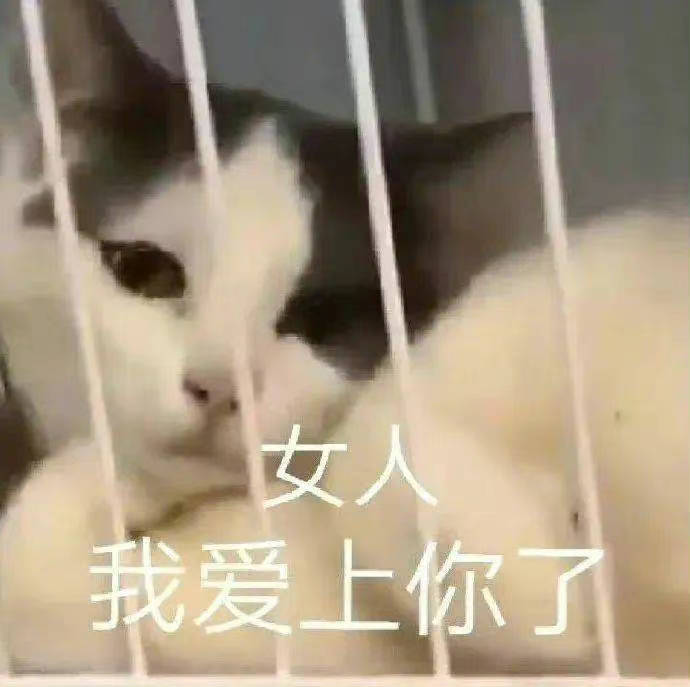 女人  我爱上你了表情包