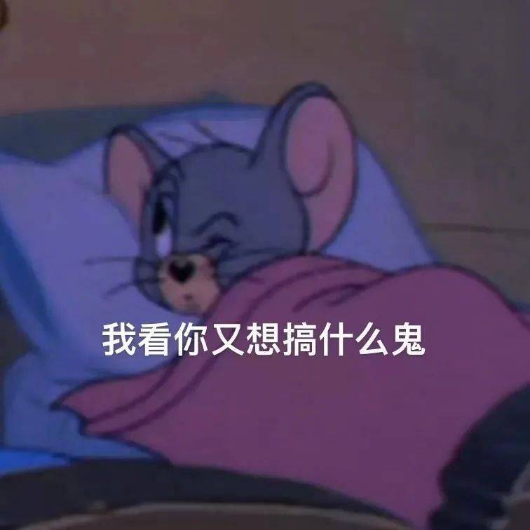 人为什么要起床