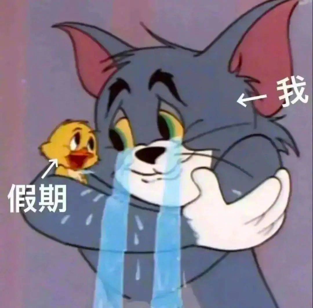 我就是只小猫咪 我能说什么