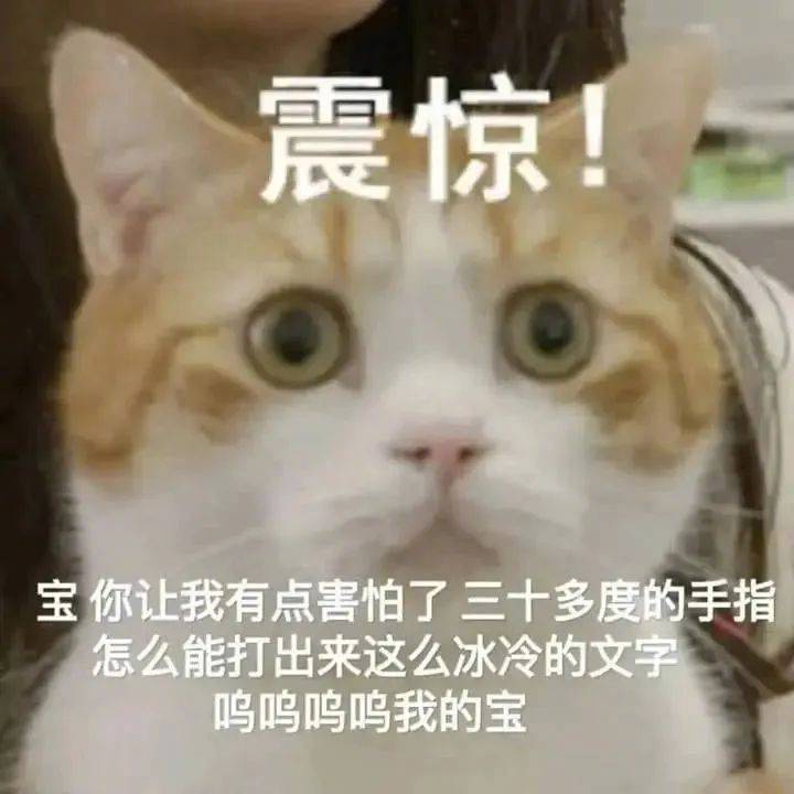 试图融入你们的我