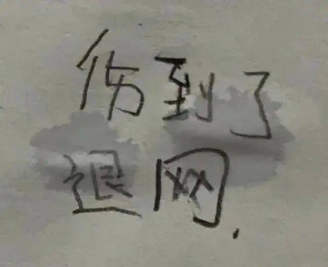 小学生手写表情包：再也不玩王者了QAQ表情包