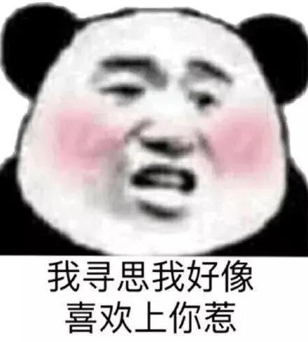 你的脸有这么大表情包