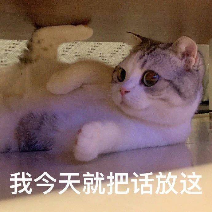 我今天就把话放这表情包