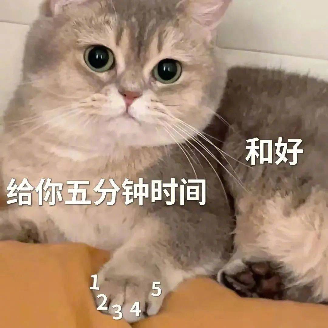 不行  你…那你干嘛？！