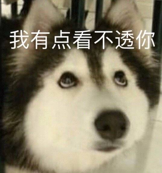 我有点看不透你表情包