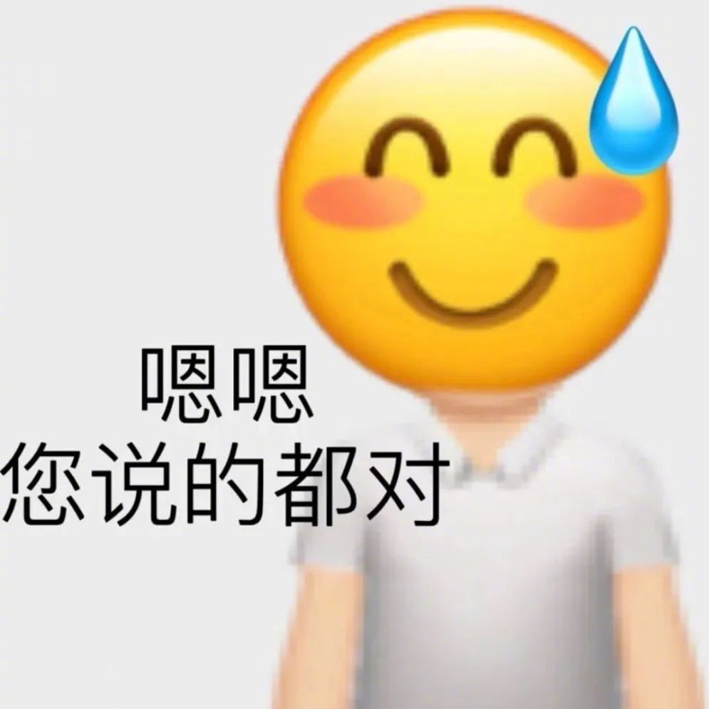 你这个憨包表情包