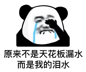 收起你那愚蠢的图片