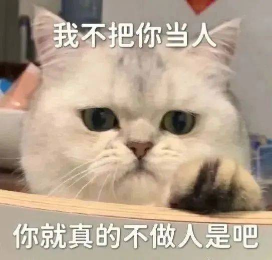 你居然相信爱情表情包