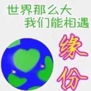 一看你就没憋什么好屁表情包