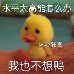 我又长肉肉了