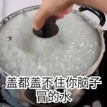 盖都盖不住你脑子冒的水表情包