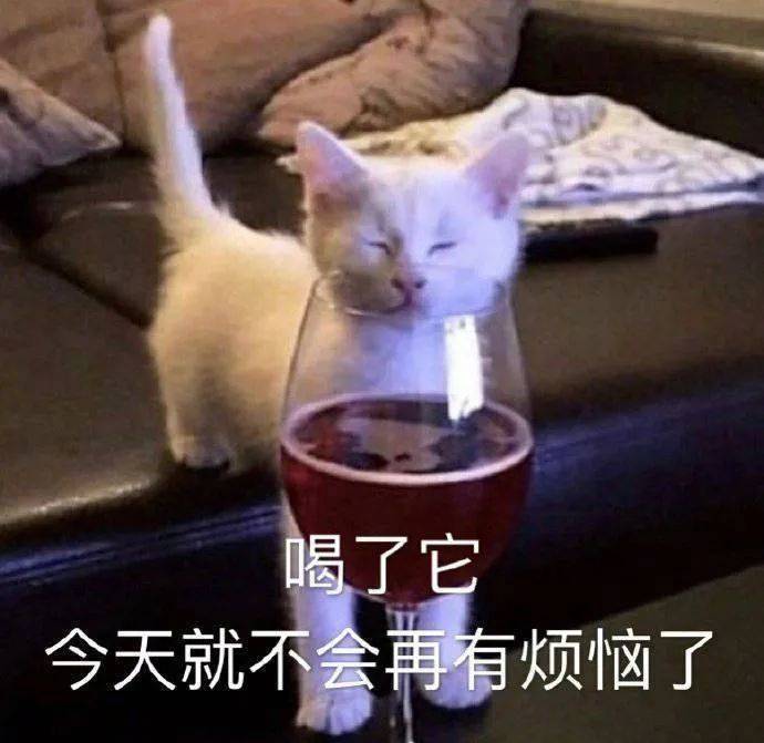 恁爹的 真的暴怒了