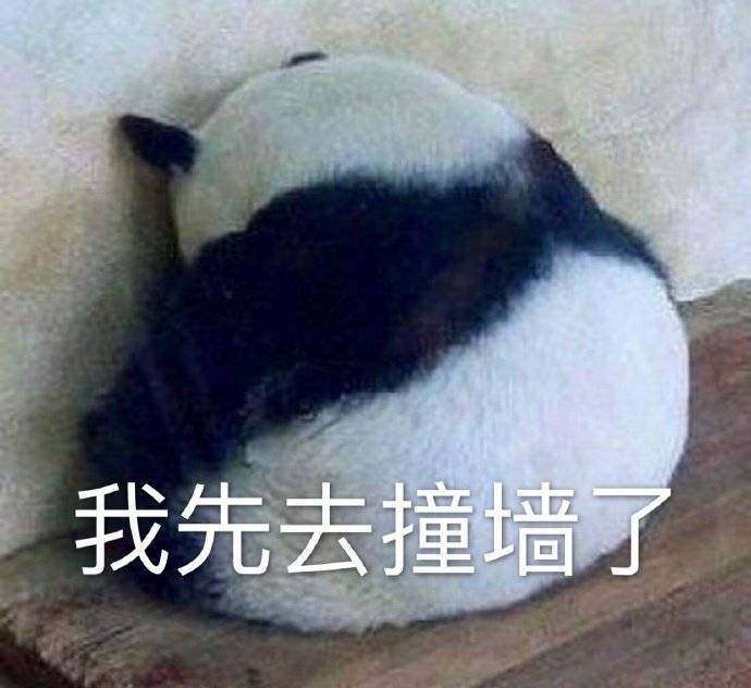 要跟我功夫熊猫比划比划吗表情包