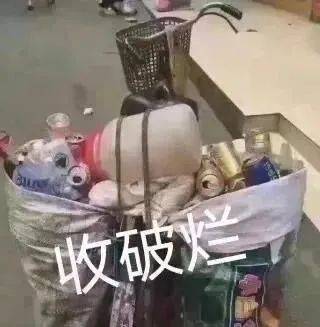 以后你就是我的猫了