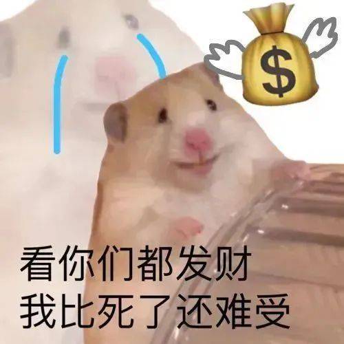 别钓我了  妹妹 我很忙